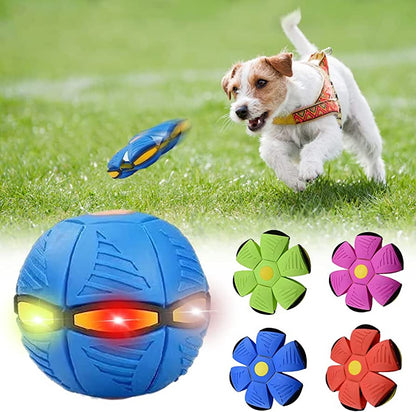 FrisBall Dog Frisbee