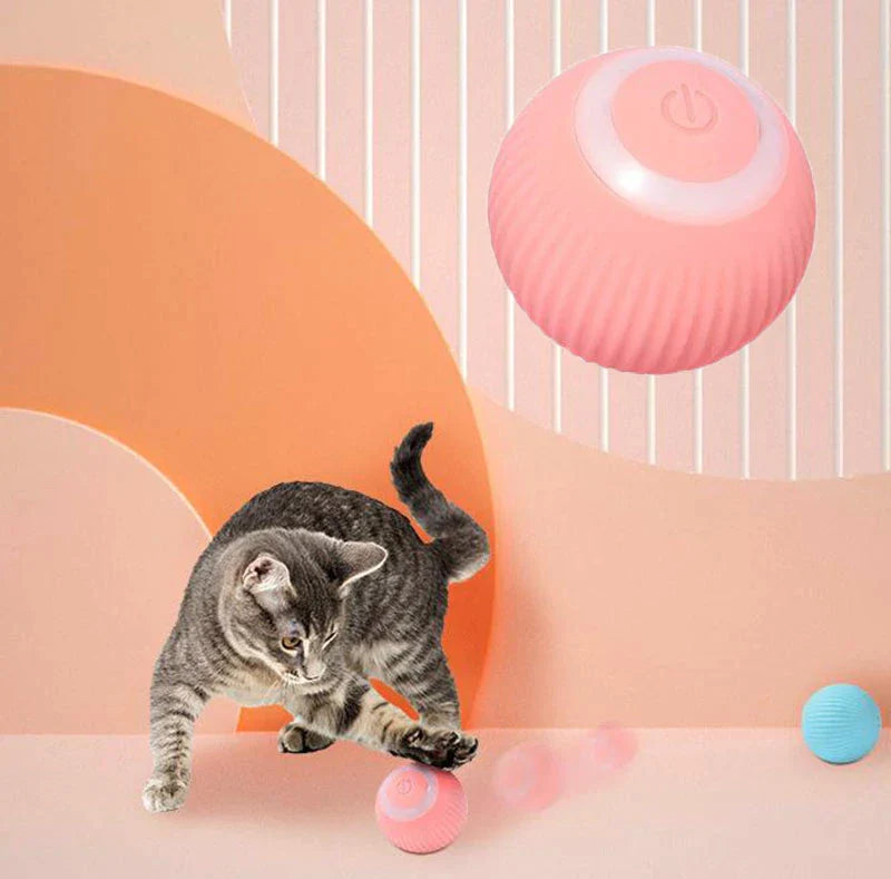 Interactive Auto-Rolling Kitty Ball