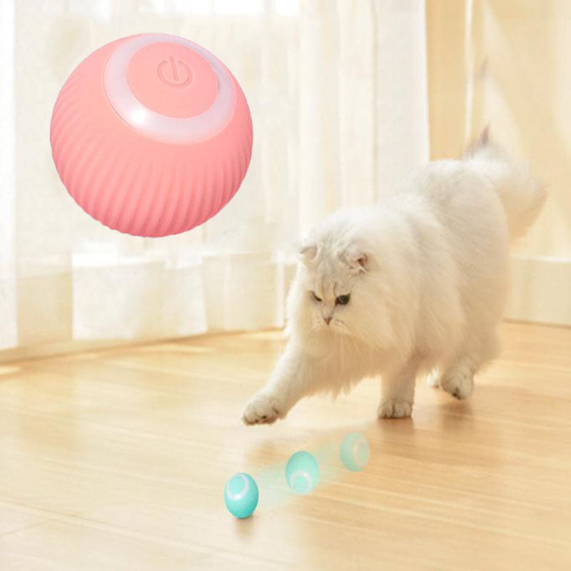 Interactive Auto-Rolling Kitty Ball