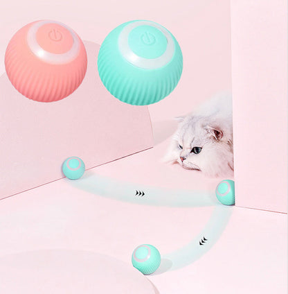 Interactive Auto-Rolling Kitty Ball